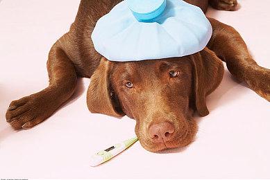 DND视觉小说《魔饮心语》发售日预告 6月20日发售